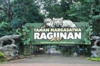 Primadona Liburan, Kebun Binatang Ragunan Diserbu 52 Ribu Pengunjung
